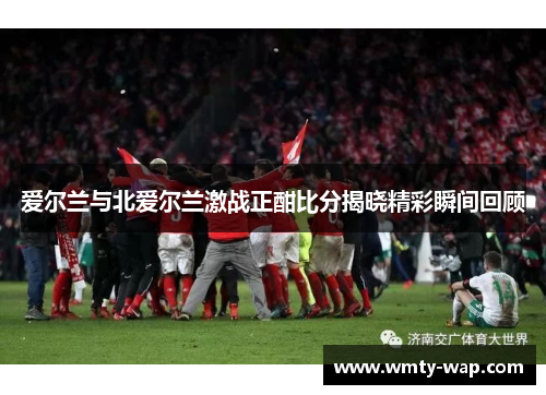 爱尔兰与北爱尔兰激战正酣比分揭晓精彩瞬间回顾